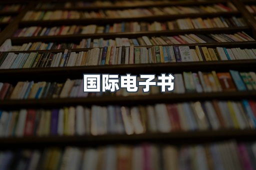 国际电子书